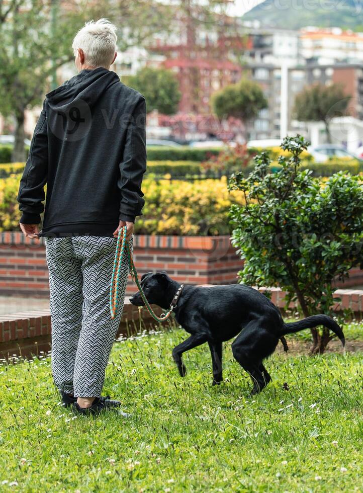 Woman holding her dog from behind while it defecates in a garden photo
