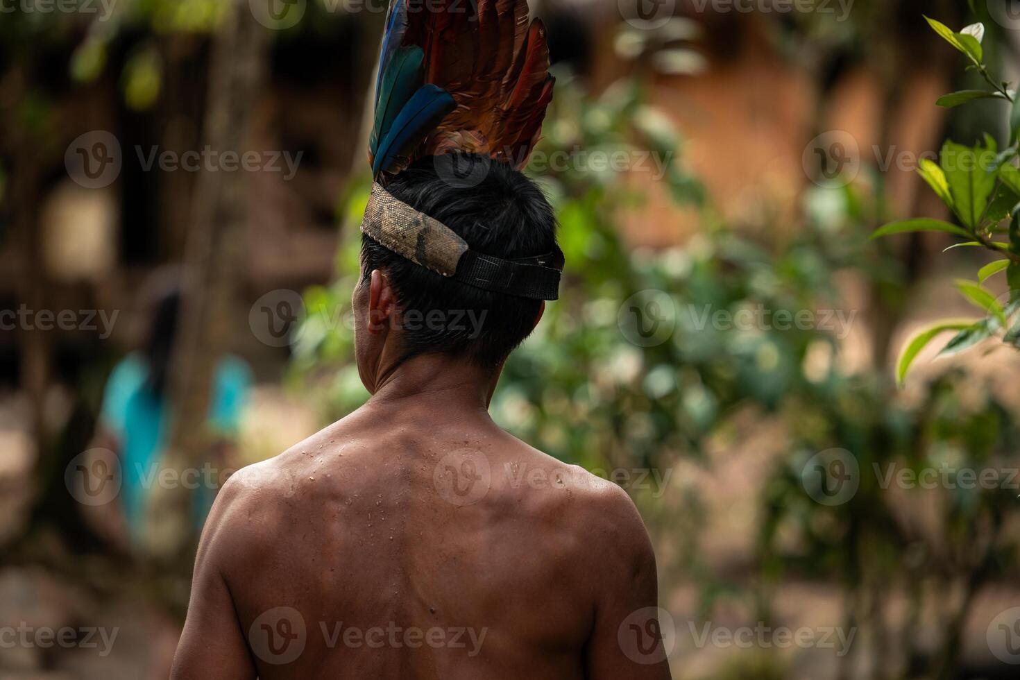 Wayuri tribe warrior in Amazon, Ecuador, with feather crown seen from behind photo