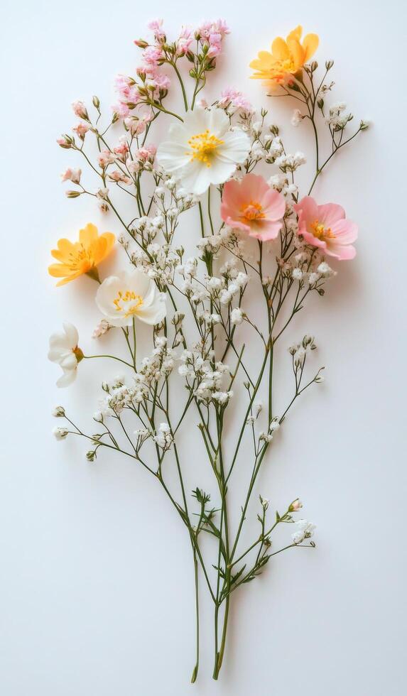 Beautiful arrangement of mixed wildflowers in soft pastel colors on a plain background photo