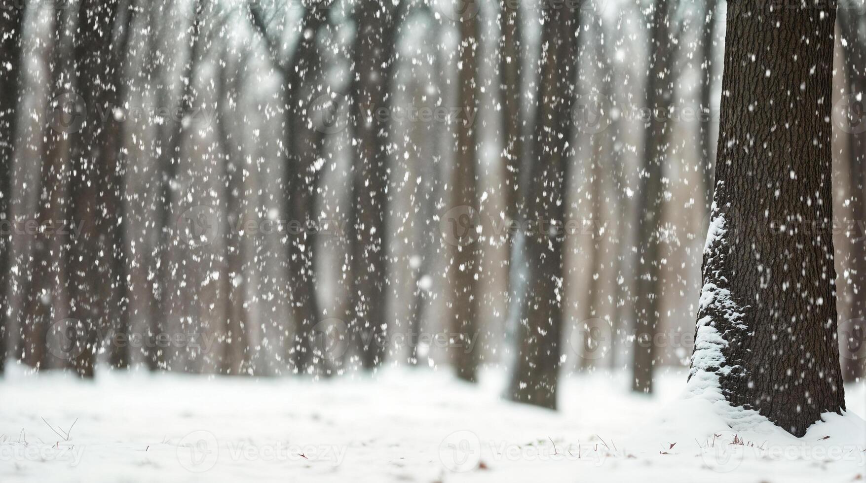 Snowfall gently blankets a serene winter landscape with trees in the background photo