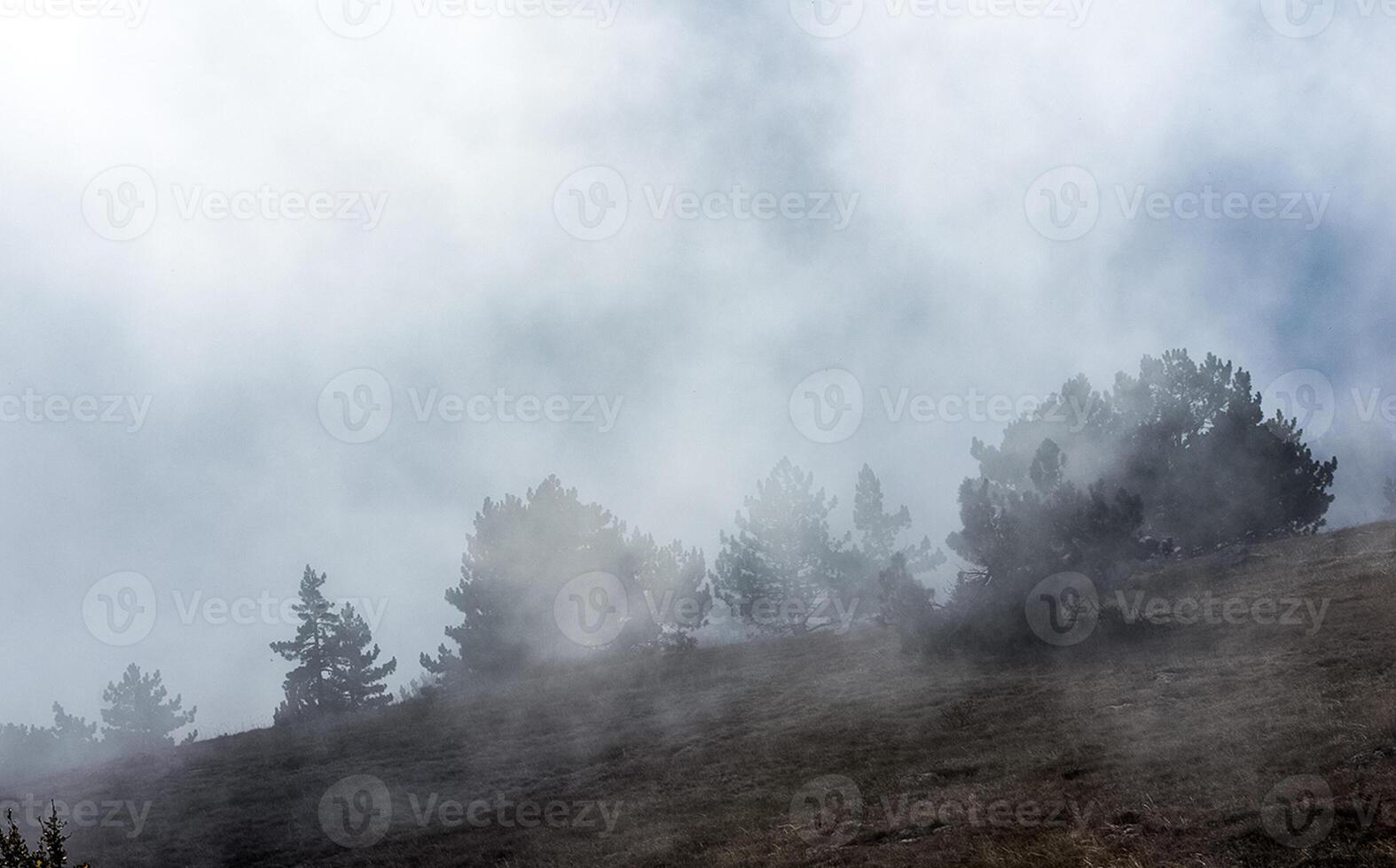 Low clouds over valley, view from the mountains. Low clouds. photo