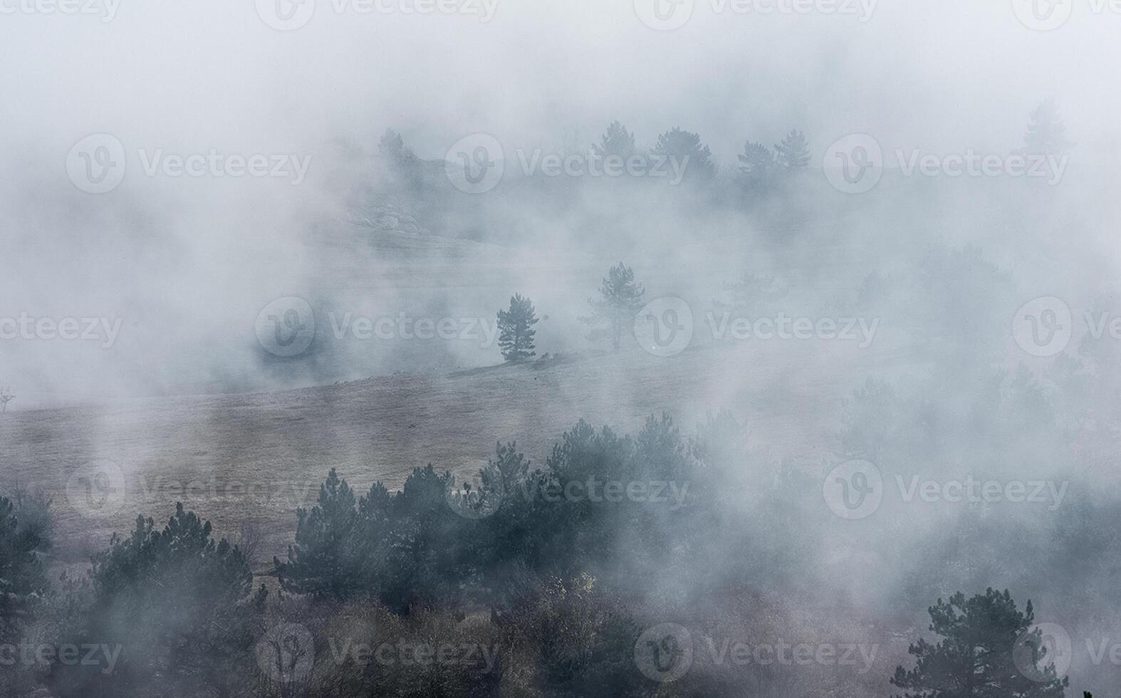 Low clouds over valley, view from the mountains. Low clouds. photo