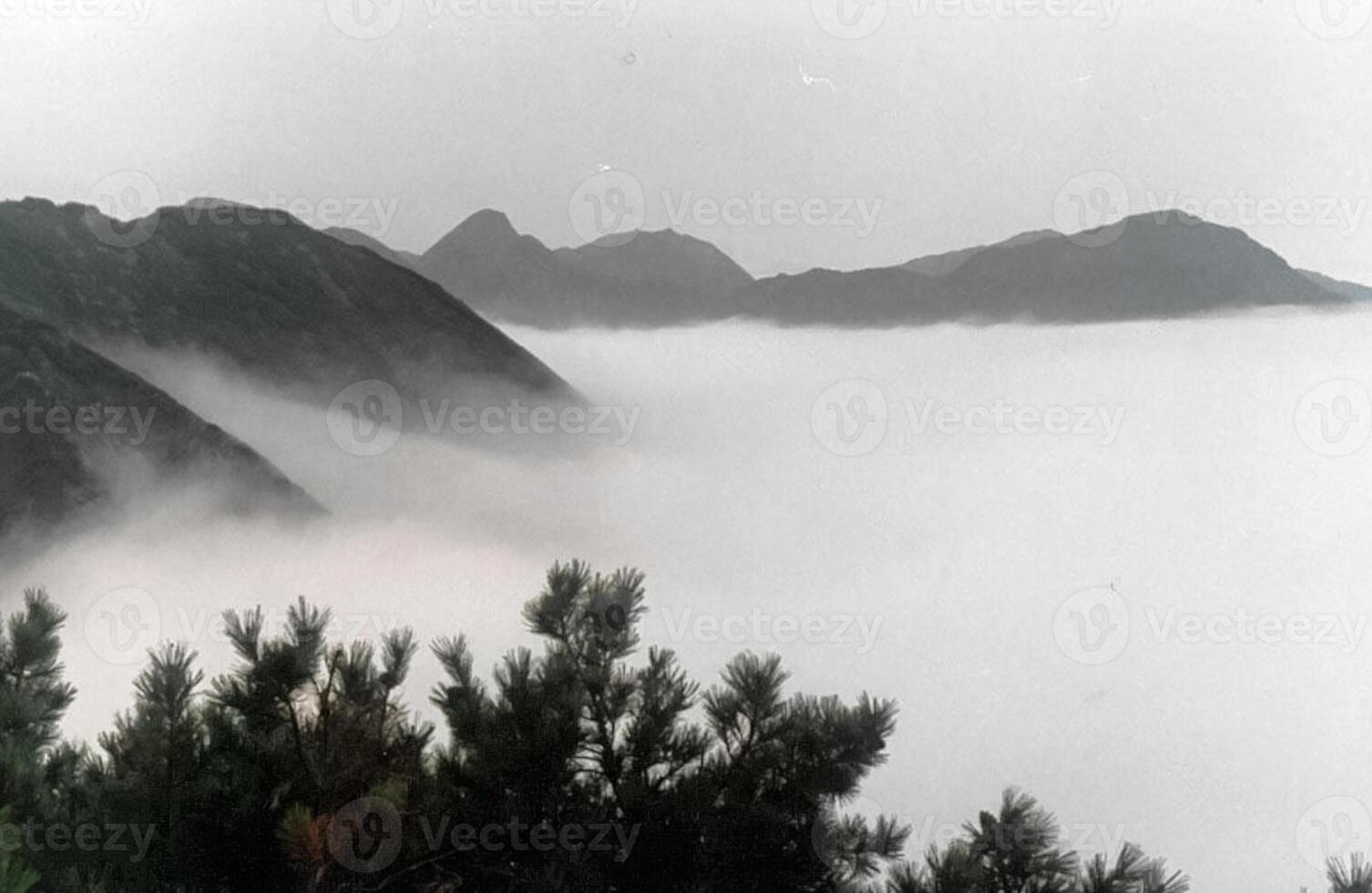 Mount Sayan in winter in snow. The nature of the mountains is sayan. photo
