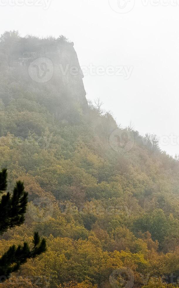 Mountains and forests of Crimea. coniferous and deciduous trees on the hills of mountains and rocks photo