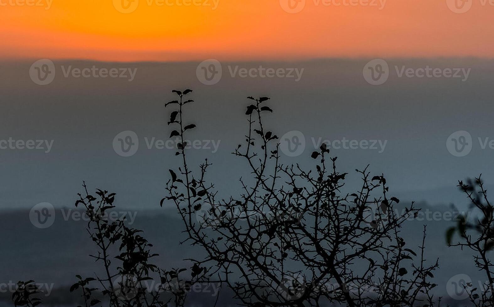 Mountains and forests of Crimea. coniferous and deciduous trees on the hills of mountains and rocks photo