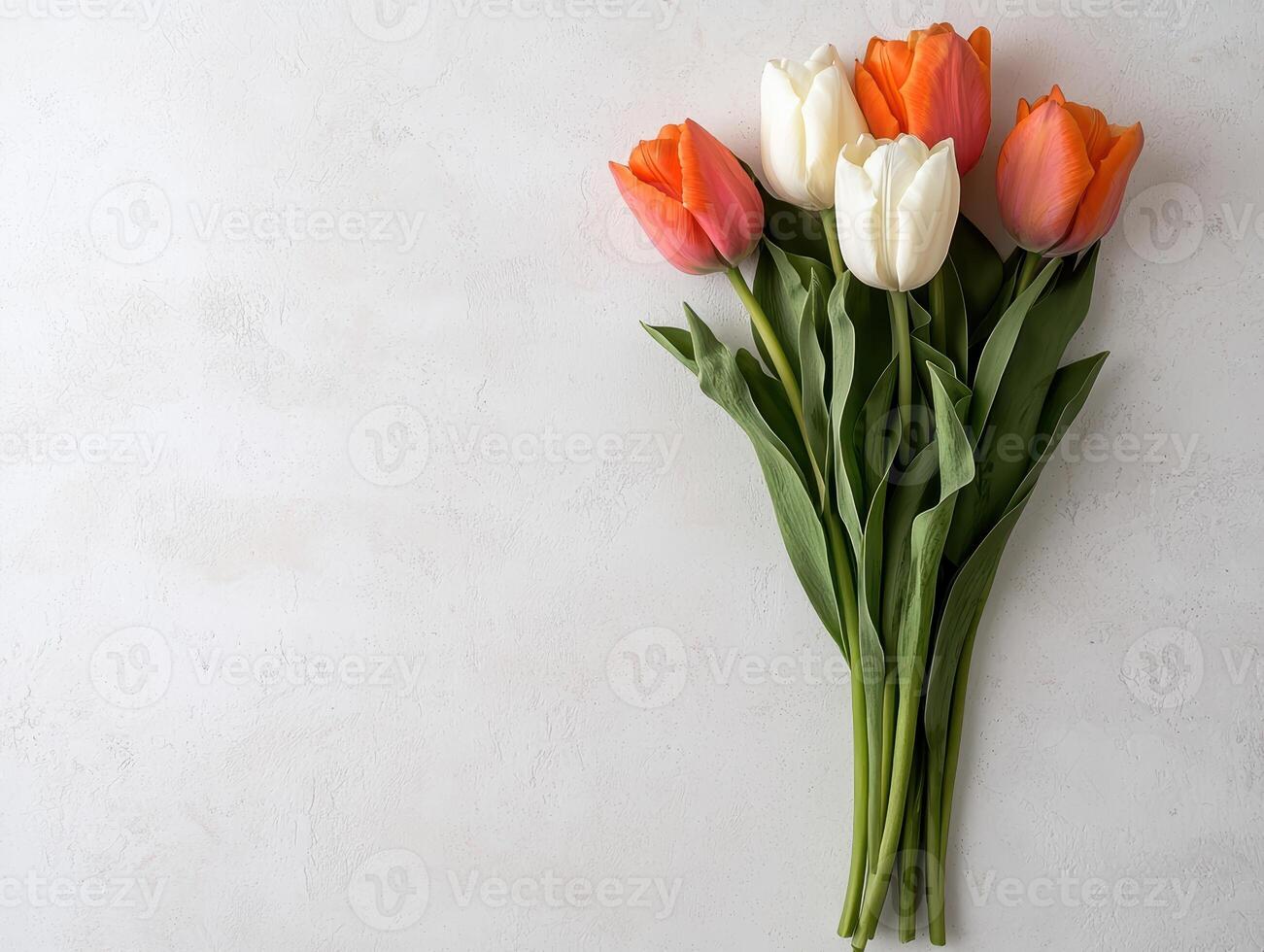 Close up of a bouquet of orange and white tulips on a white background photo