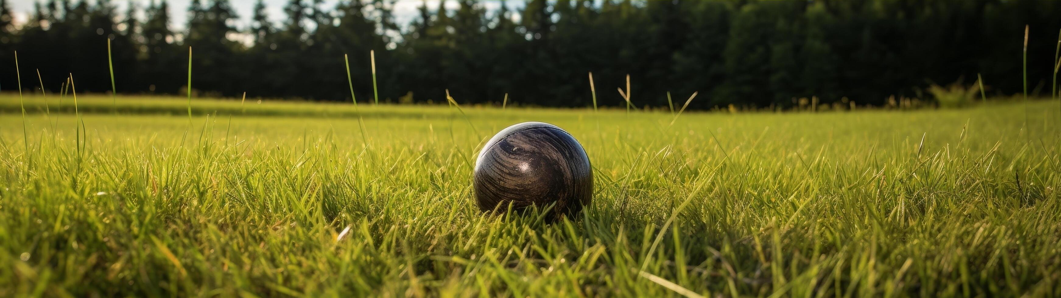 Bocce ball on grassy field photo