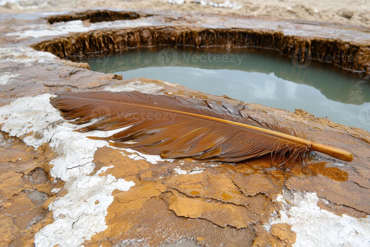 Single brown feather on a wet, orange and white textured surface near a pool of water photo