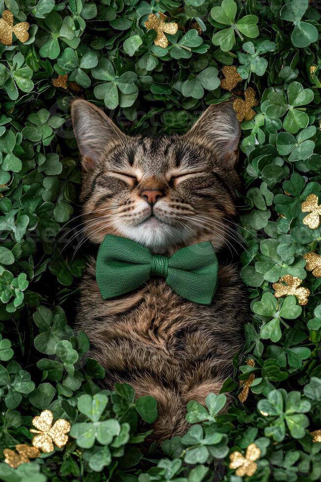 Adorable tabby cat wearing a green bow tie, nestled in shamrocks for St Patricks Day photo