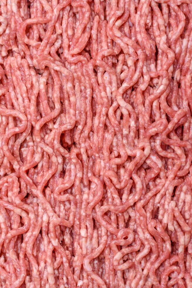 Fresh raw ground minced beef with salt and spices photo