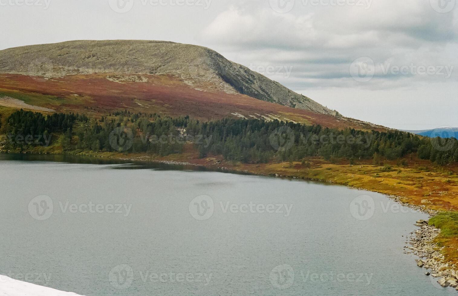 river is among the mountains and forests of the Altai. Nature of the Altai photo