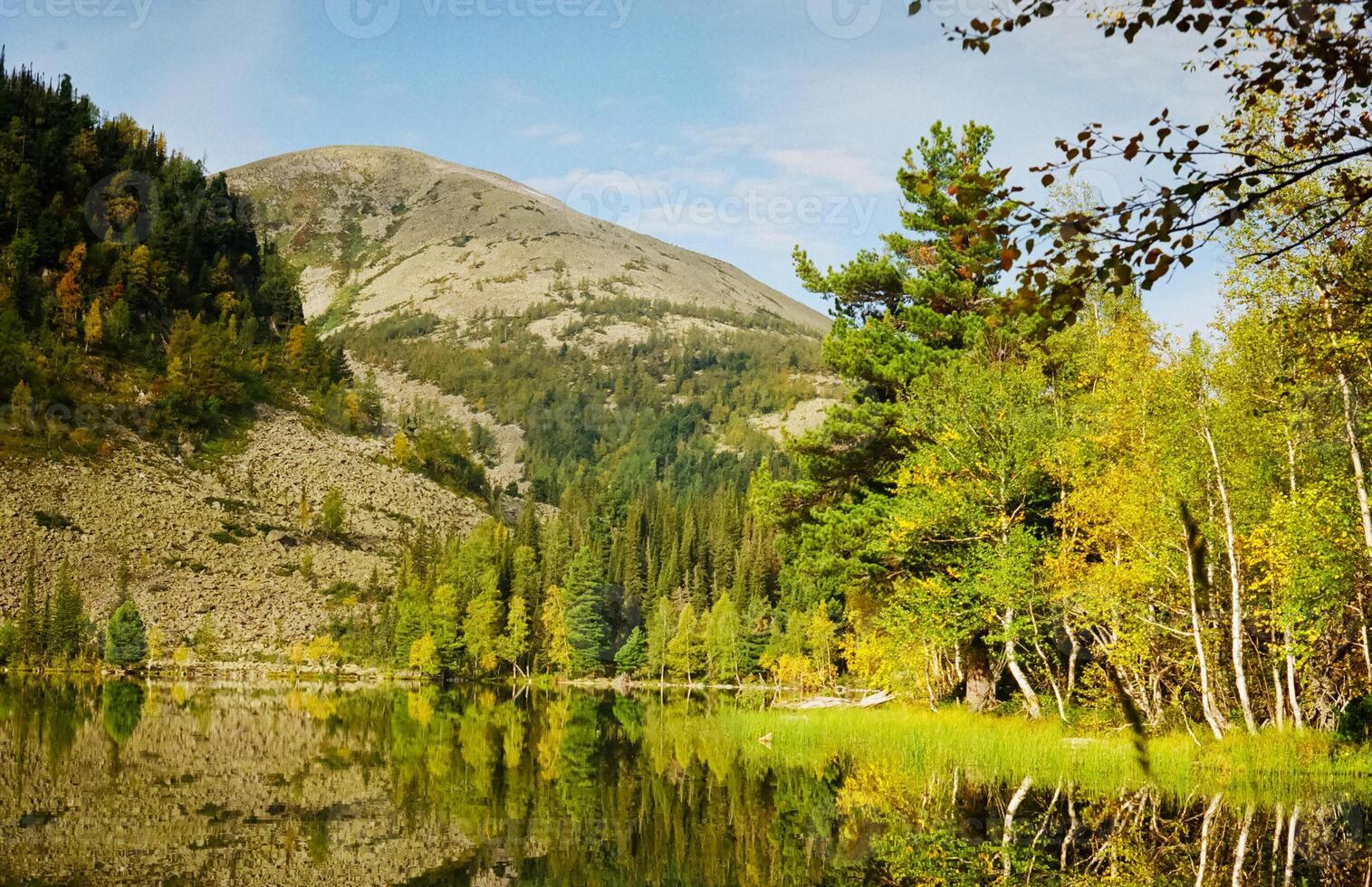 river is among the mountains and forests of the Altai. Nature of the Altai photo