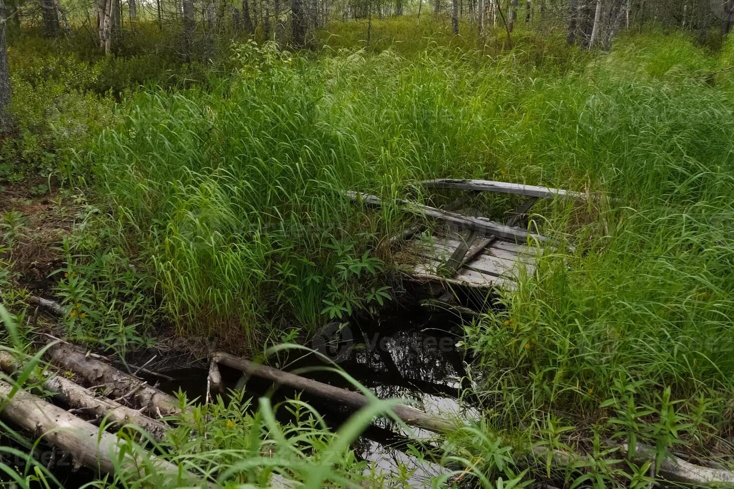 wooden bridge across a stream in the woods. Overcoming a small river. photo