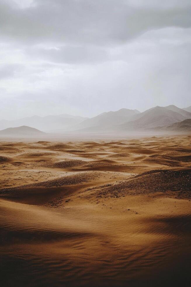 impact of climate change, A vast desert with cracked earth photo