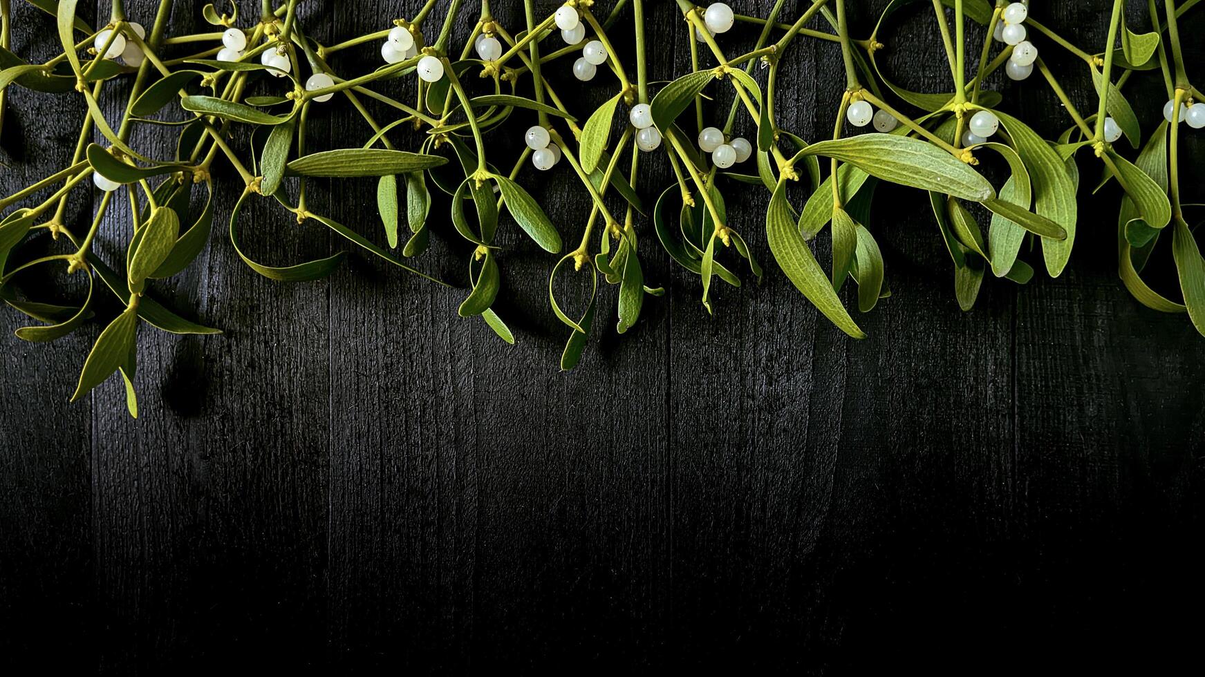 Mistletoe branches with white berries on black wooden background with empty space for text. photo