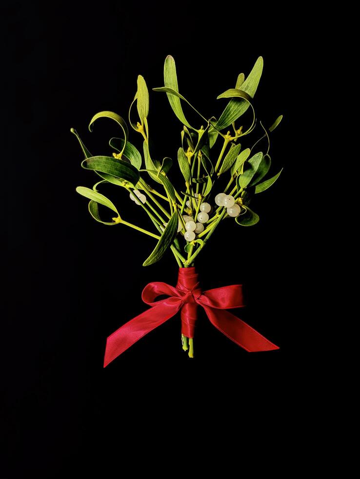 Bouquet of green mistletoe tied with red satin ribbon with beautiful bow on black background. photo