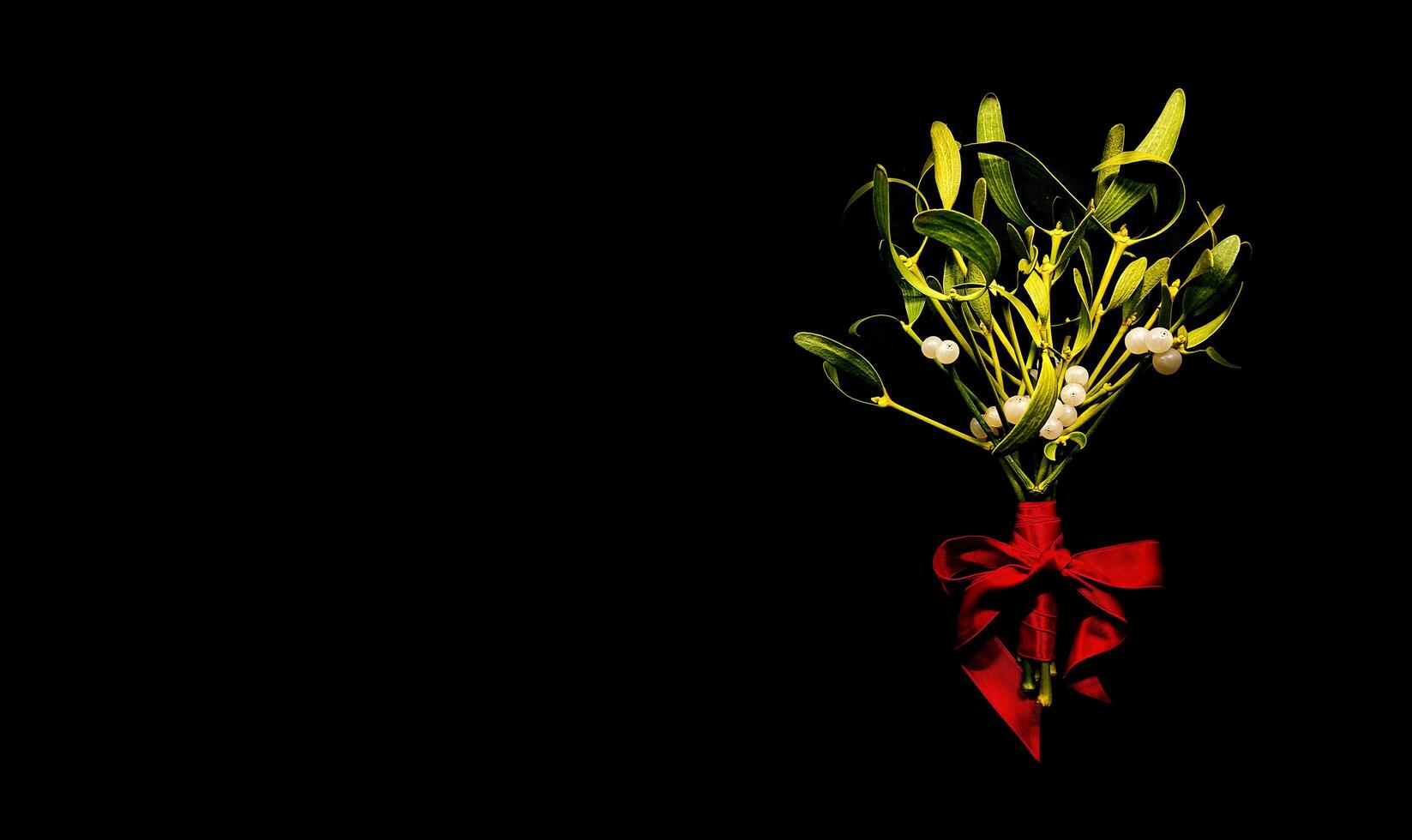 Bouquet of green mistletoe branches with white berries tied with red satin ribbon with beautiful bow on black background. Can be used as banner, wallpaper, background, postcard. photo