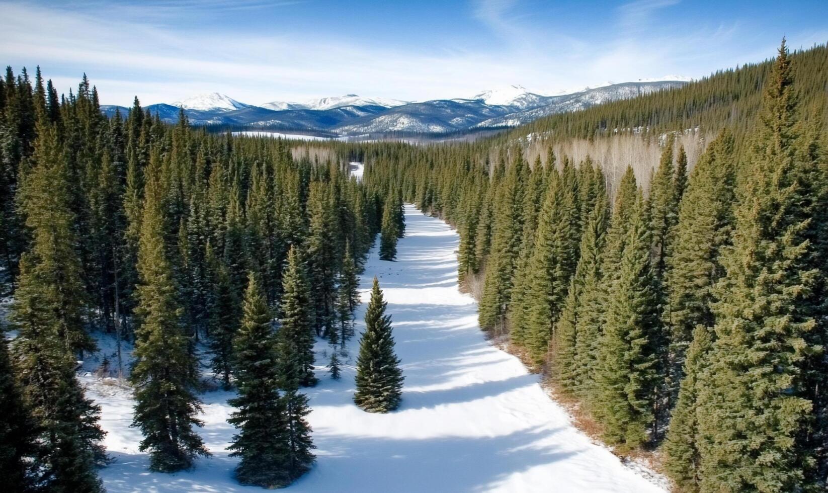 A snow covered road in the mountains with trees photo