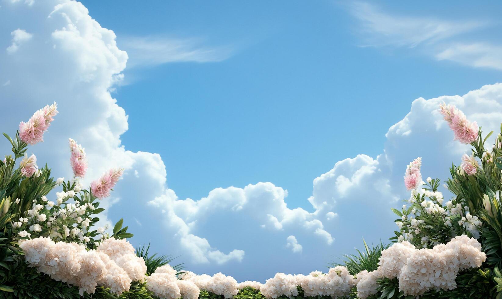 A field of white flowers and blue sky photo