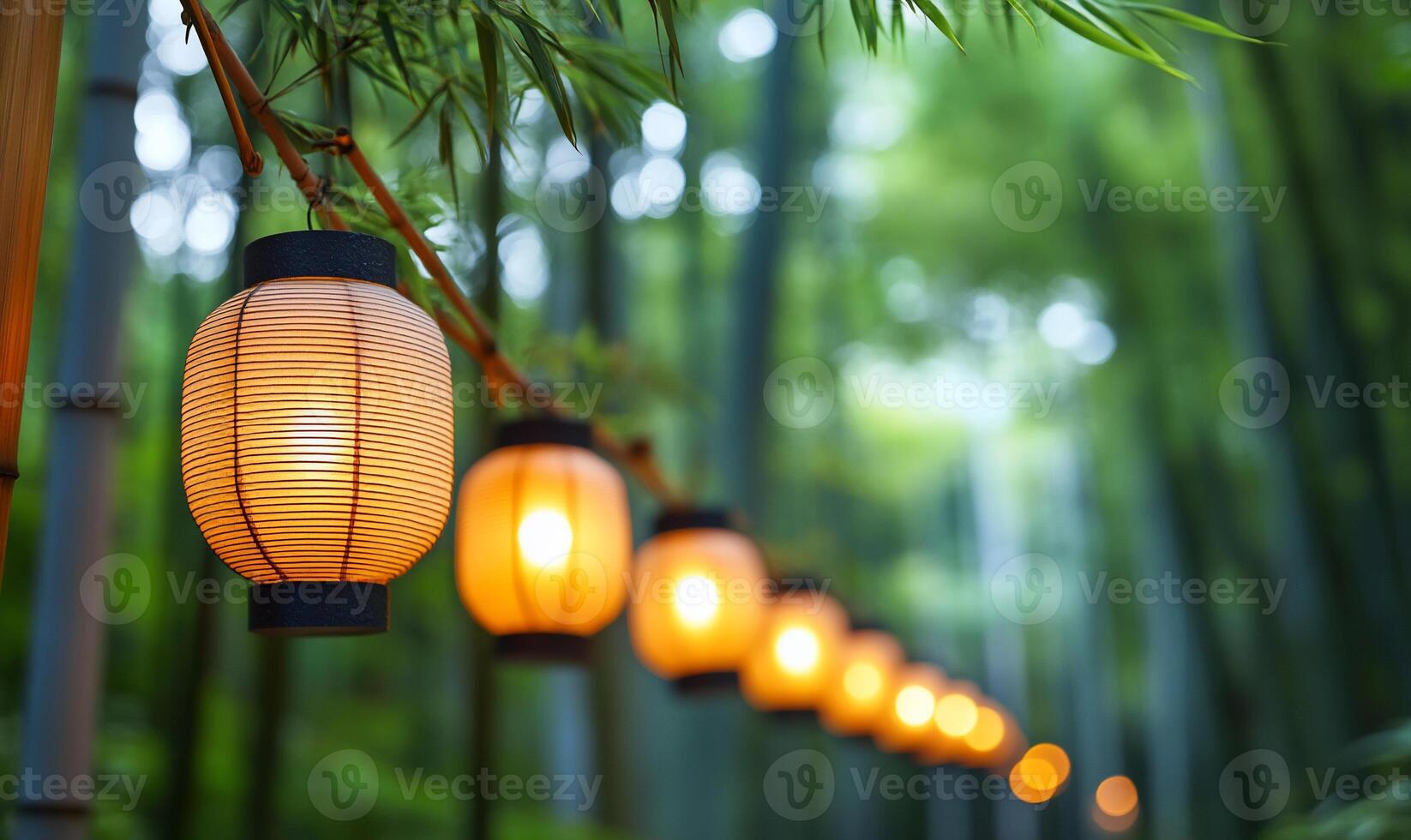 Lanterns in the bamboo forest photo