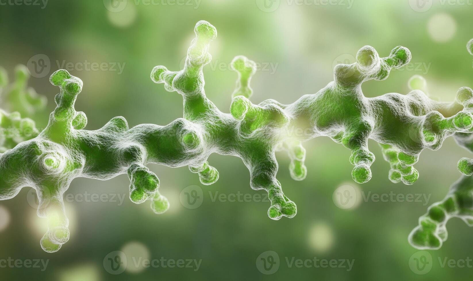 A close up of a green plant with many small green leaves photo