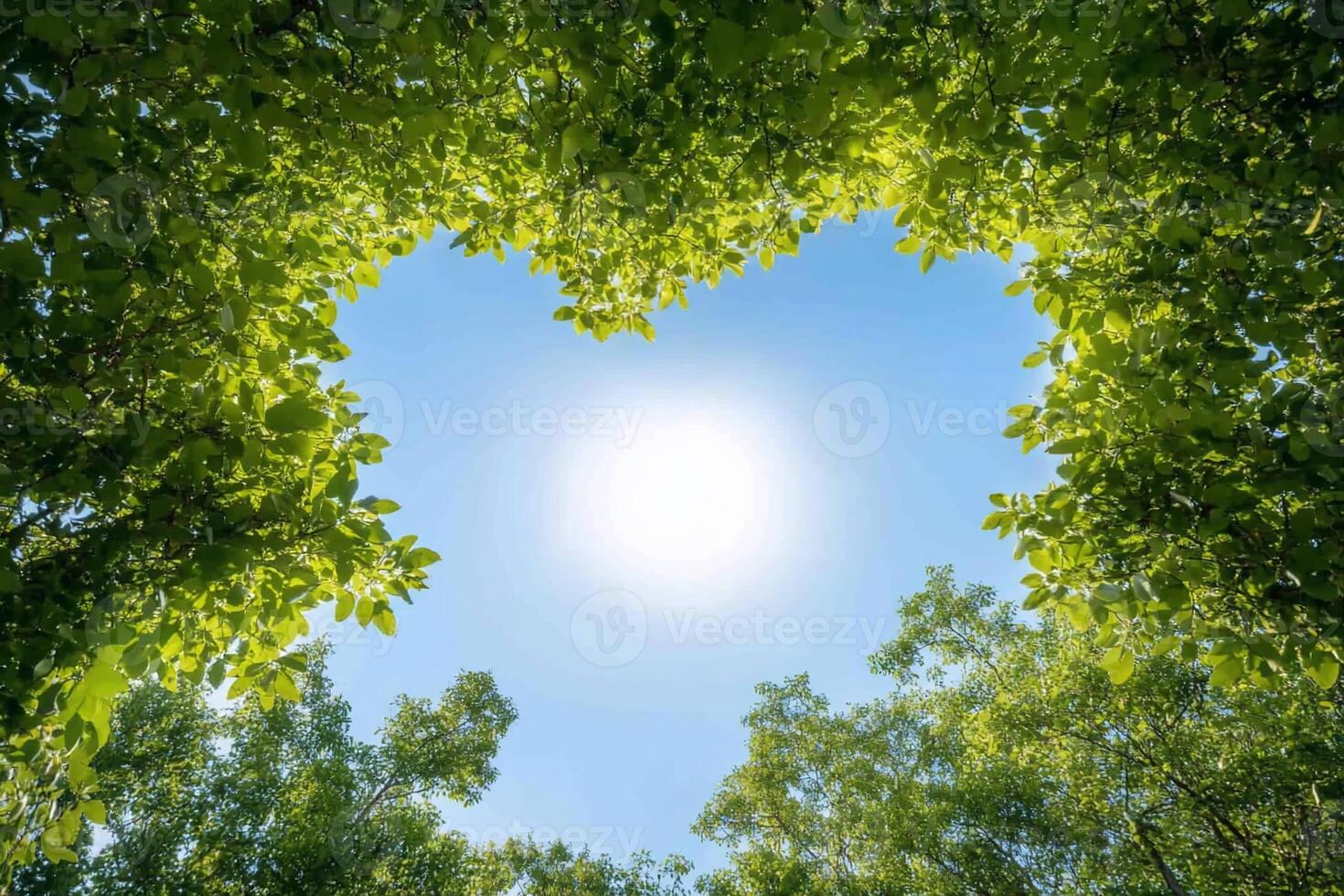 A heart-shaped view of green leaves framing a bright sunlit sky. photo