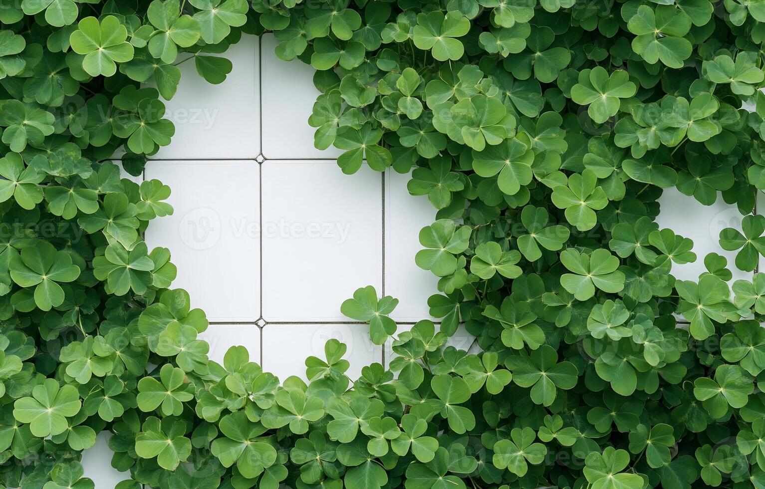 Lush green clovers framing a white tiled space in a vibrant design. photo