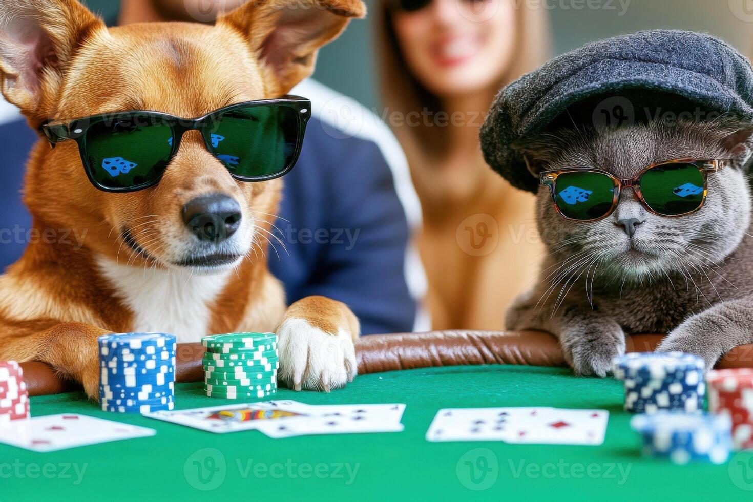 Dog and cat enjoying a playful poker night at a card table while wearing stylish sunglasses and hats for a lighthearted gathering photo