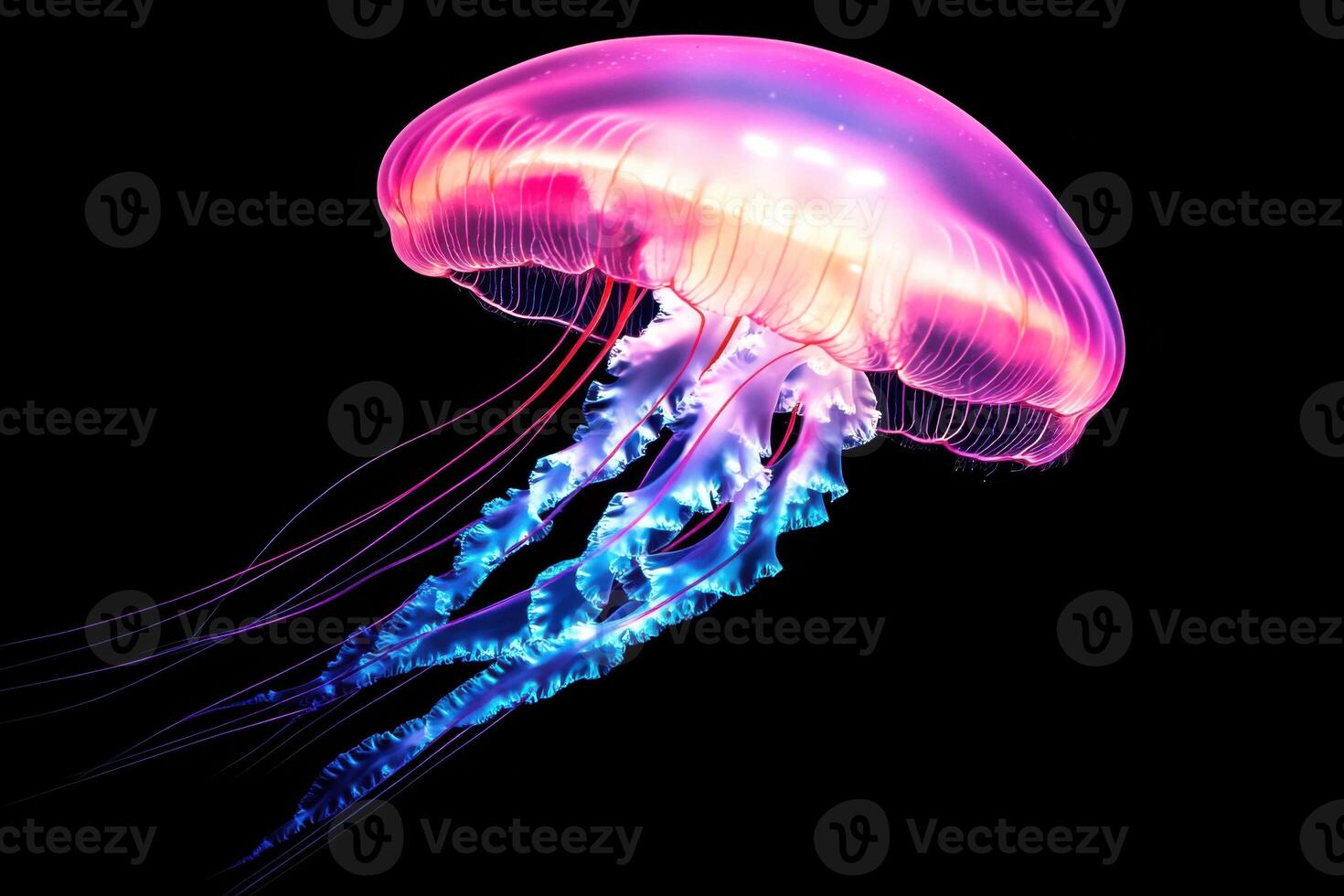 Translucent jellyfish glowing in pink and blue gradients floats gracefully in dark ocean water while light rays pierce through photo