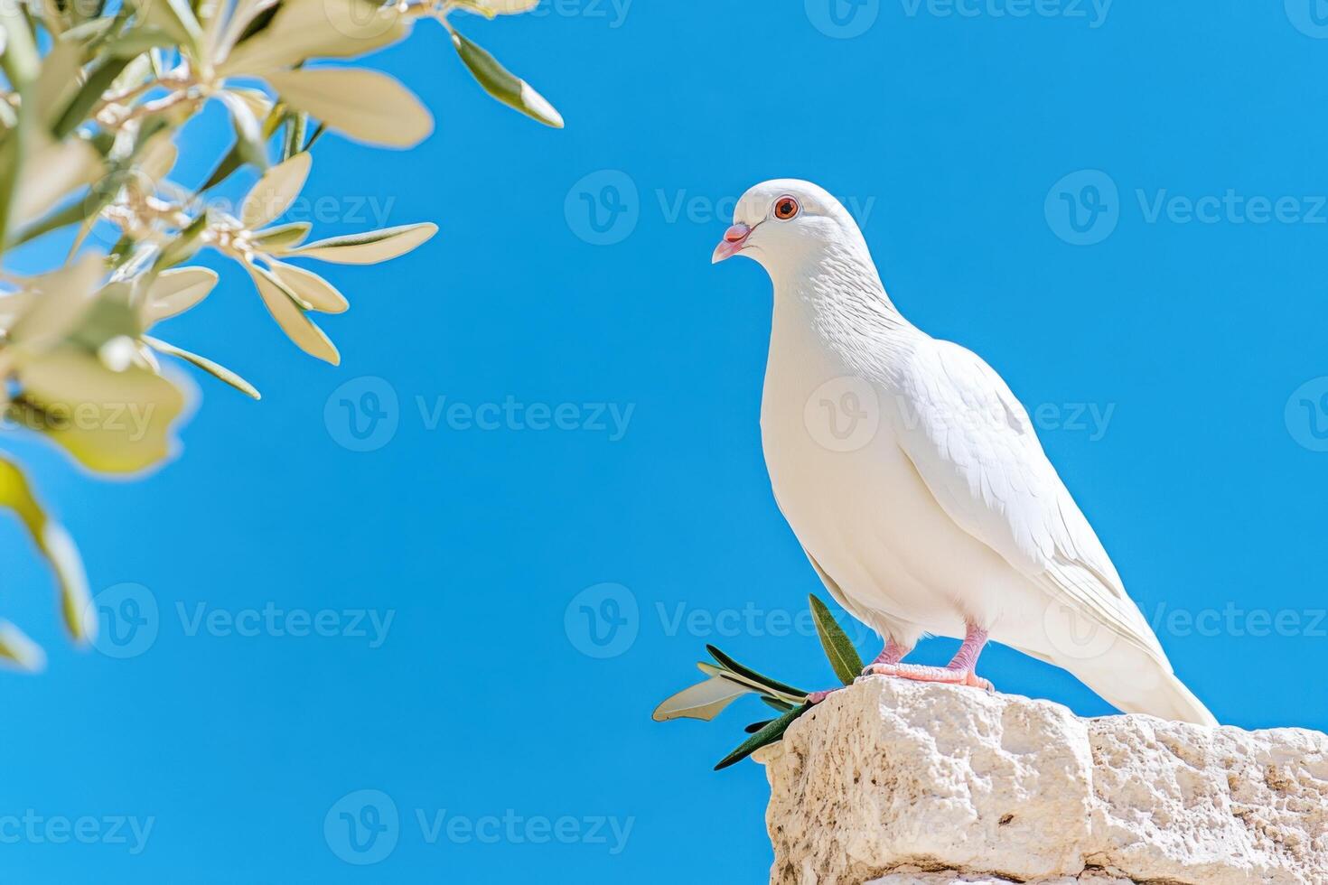 Peaceful white dove standing on a marble pedestal with an olive branch against ancient ruins and a vibrant blue sky photo