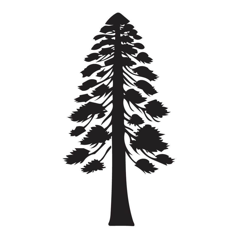 Silhouette Illustration of a Tall Redwood Tree vector
