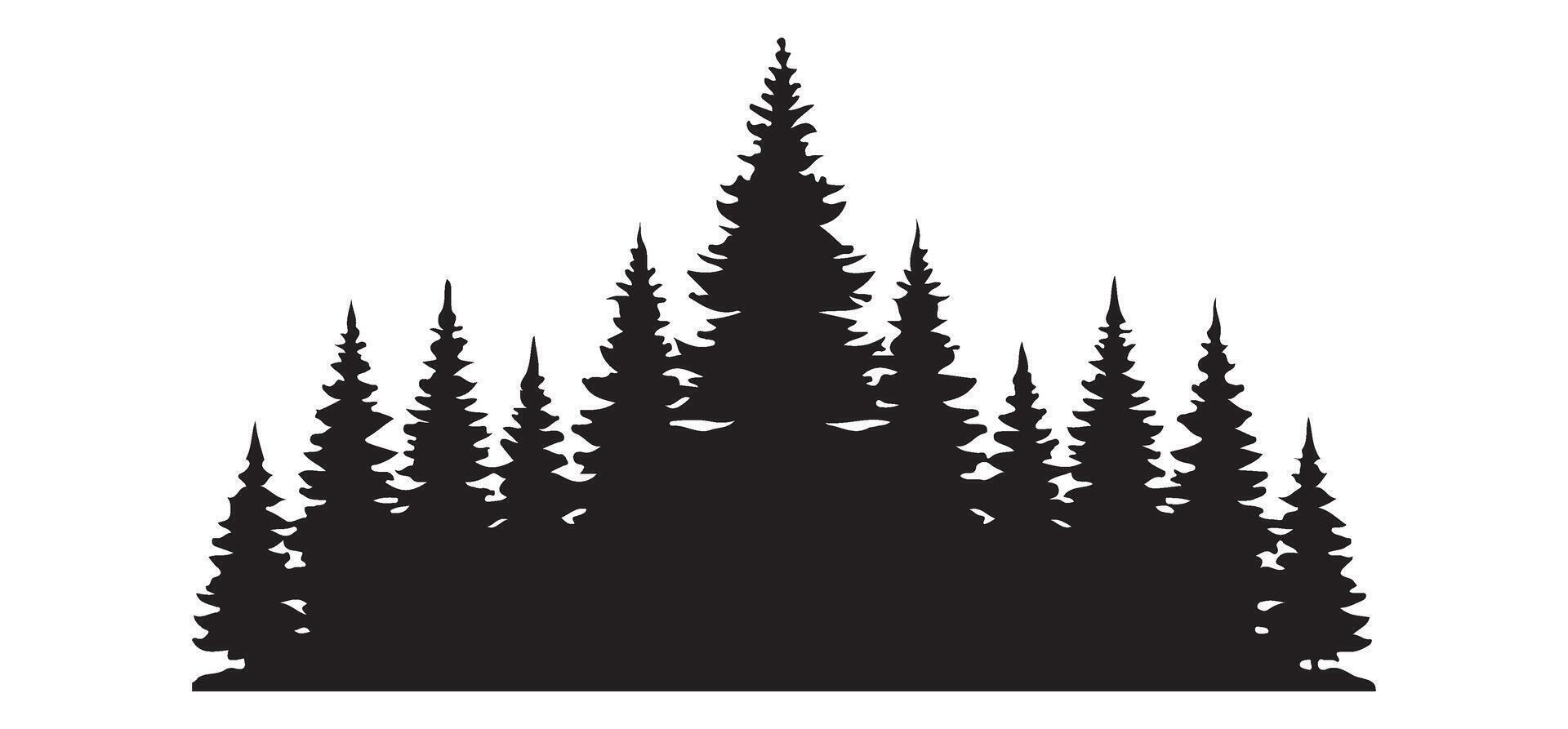 Majestic Silhouette of a Pine Tree Forest vector