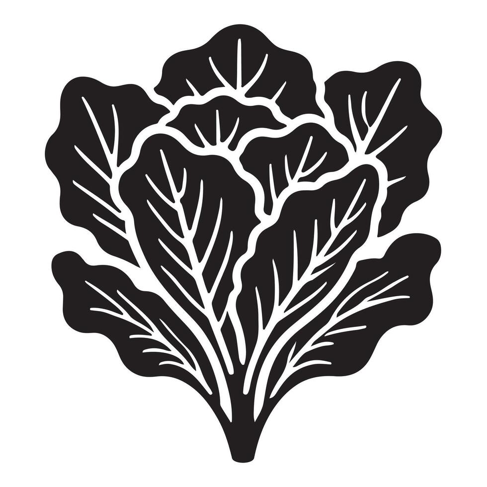 Lettuce Silhouette Illustration for Food Design vector