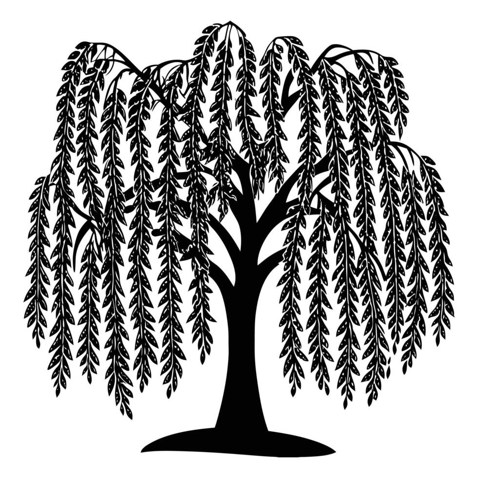 A graceful black silhouette of a willow tree with long, drooping branches that cascade downward like a curtain. vector