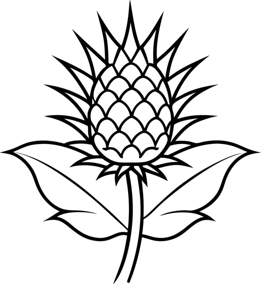 Scottish Thistles flower vector