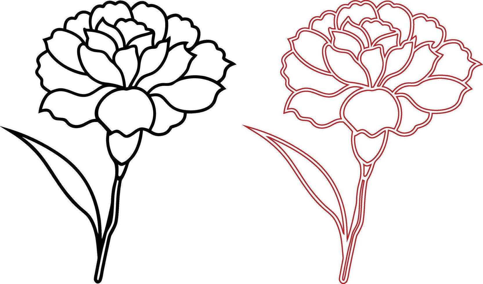 black and red Carnation Flower silhouette vector