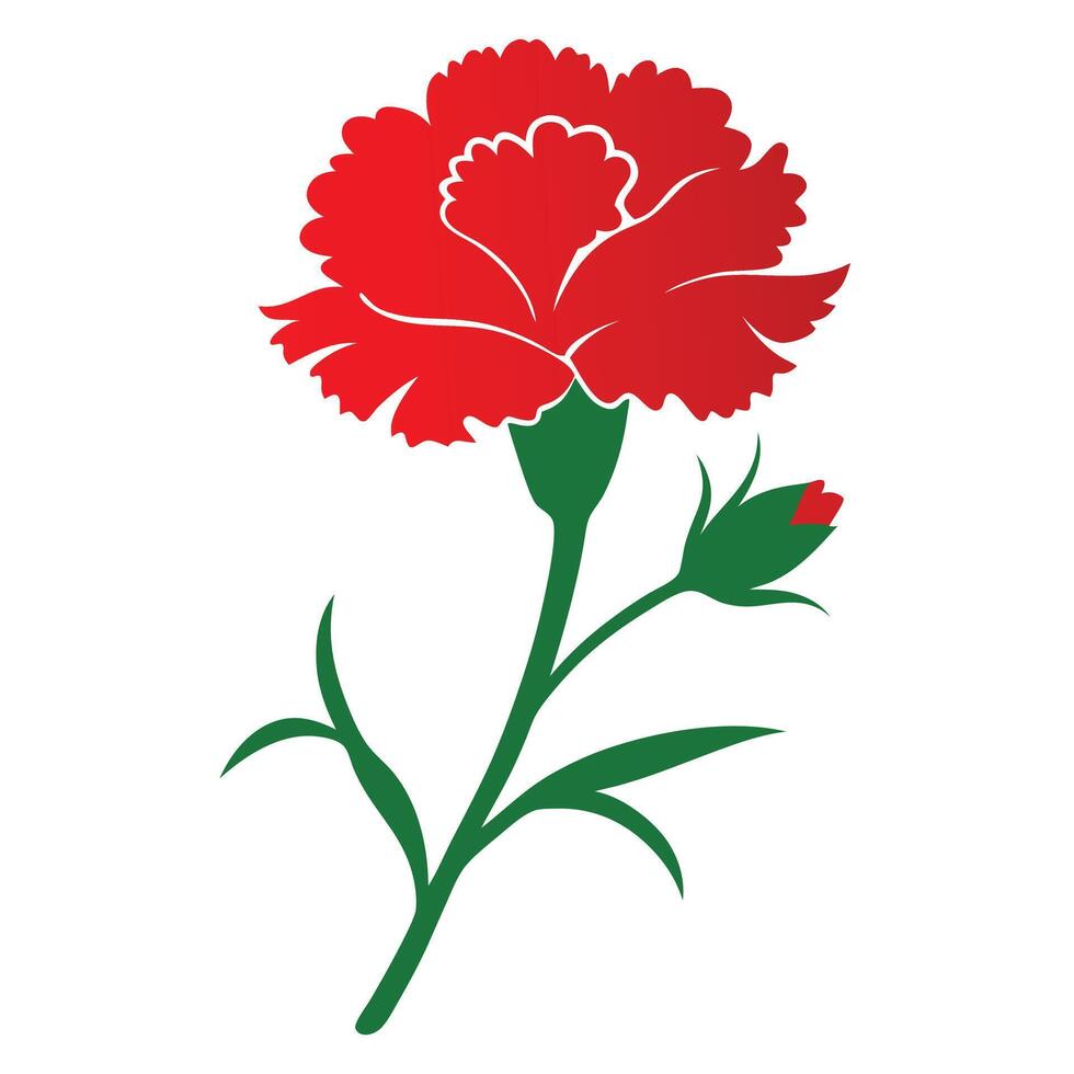 red carnation flower vector
