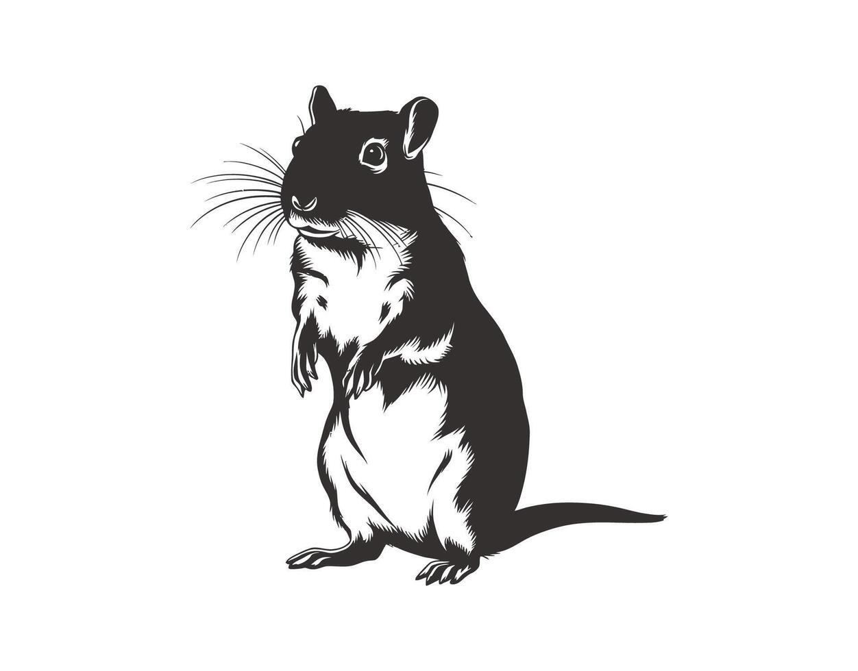 Silhouette of Gerbils Template vector