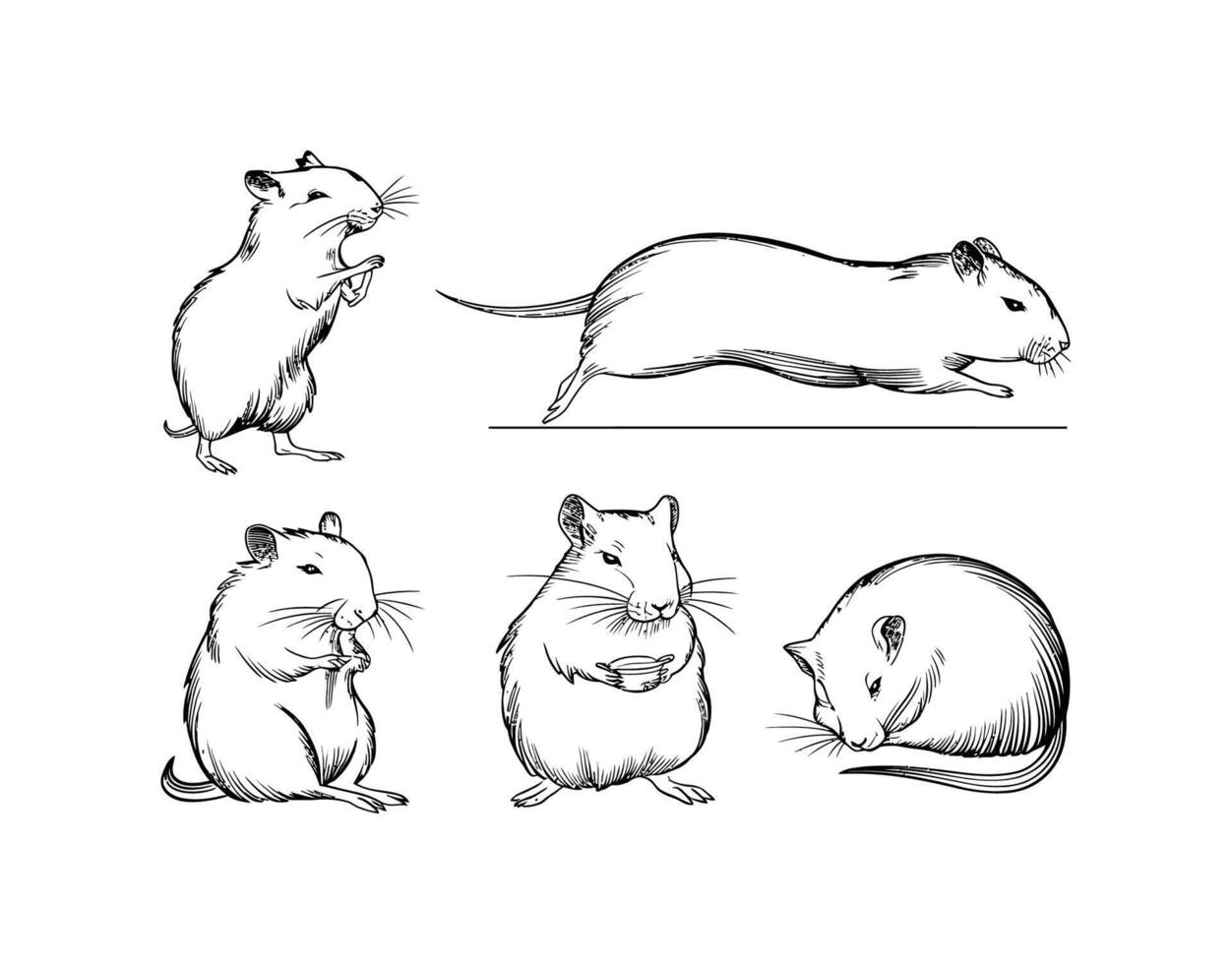 Gerbil Silhouettes in Various Poses Template vector