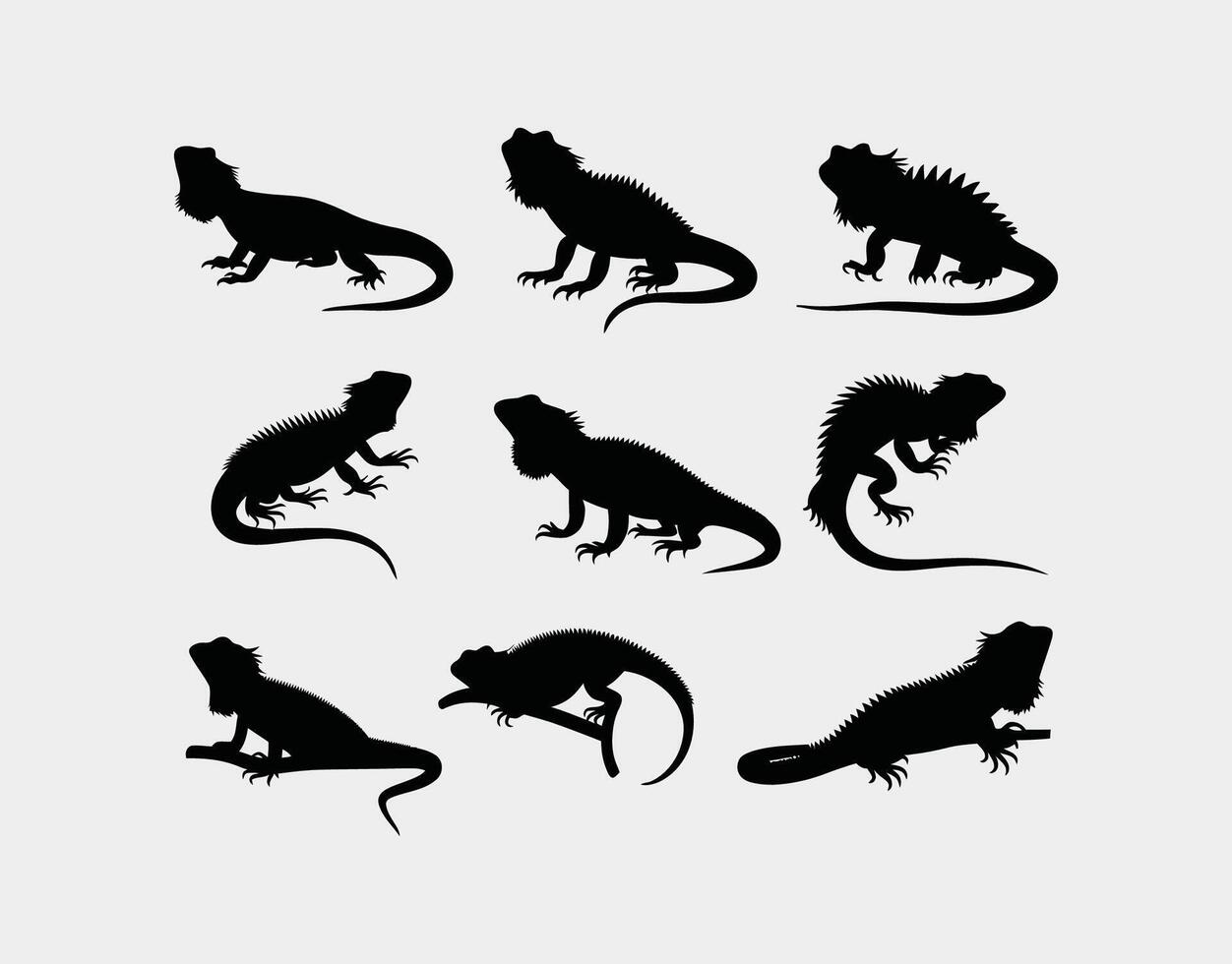 Bearded Dragon Silhouette Collection Template Dynamic Poses vector