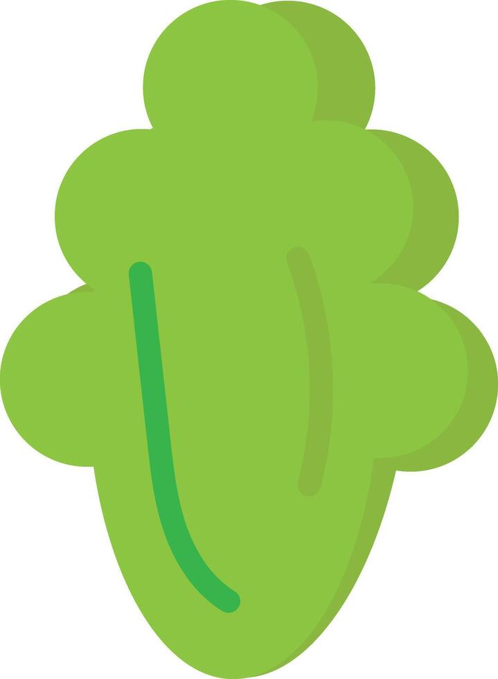 Lettuce Tomato Vagetable vector