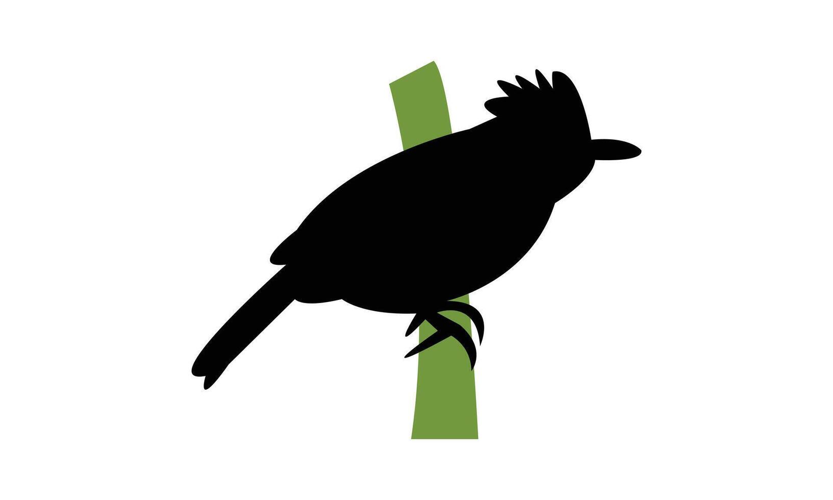 Antshrike Bird Silhouette vector