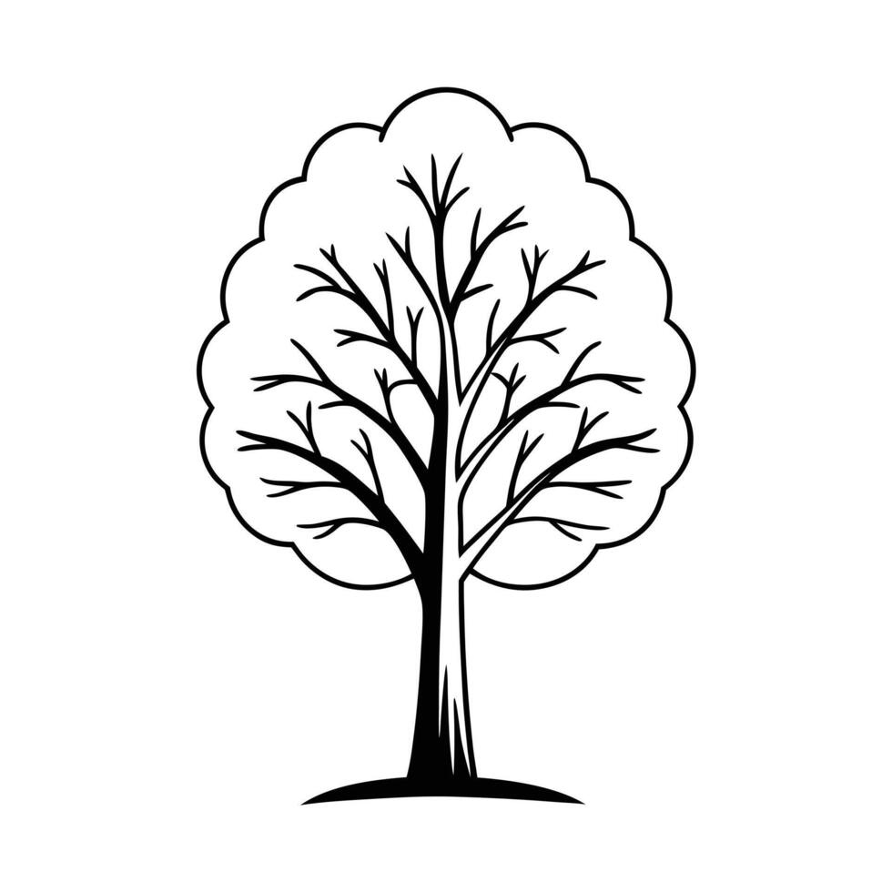 Elegant Black and White Line Drawing of a Majestic Tree vector