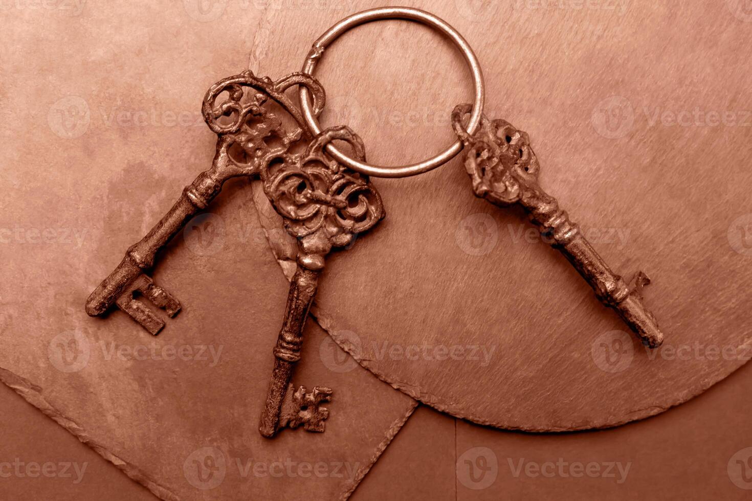 Three old keys on plates close up. Objects on Mocha and Mousse, brown background. Concept photo. Demonstrating color of 2025 year photo