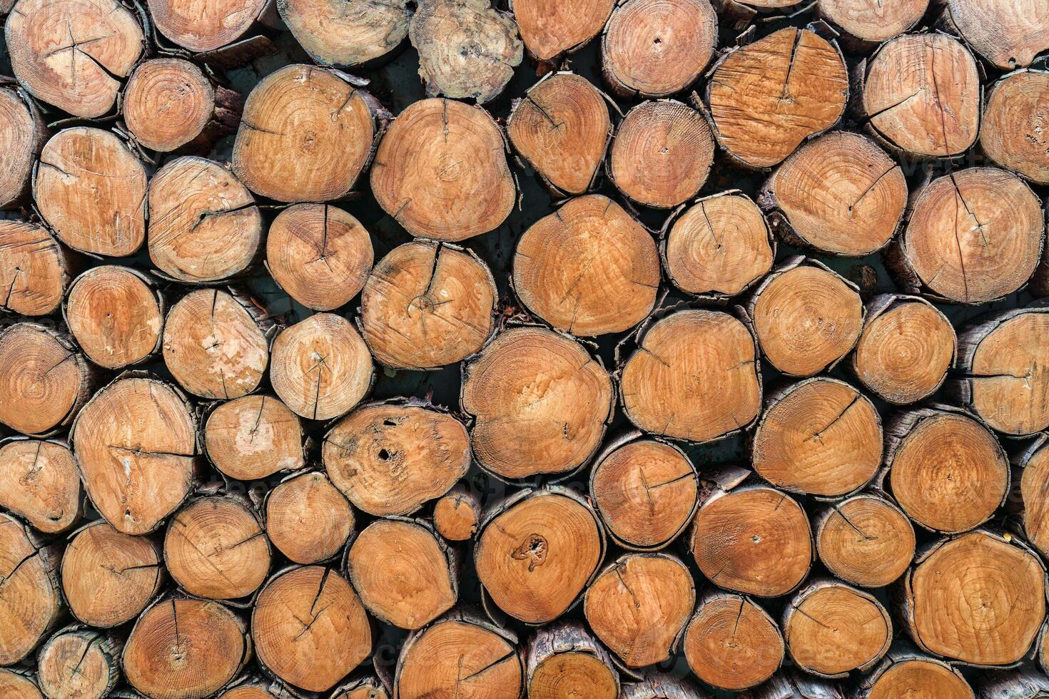 Pile of wood logs texture cutted background photo