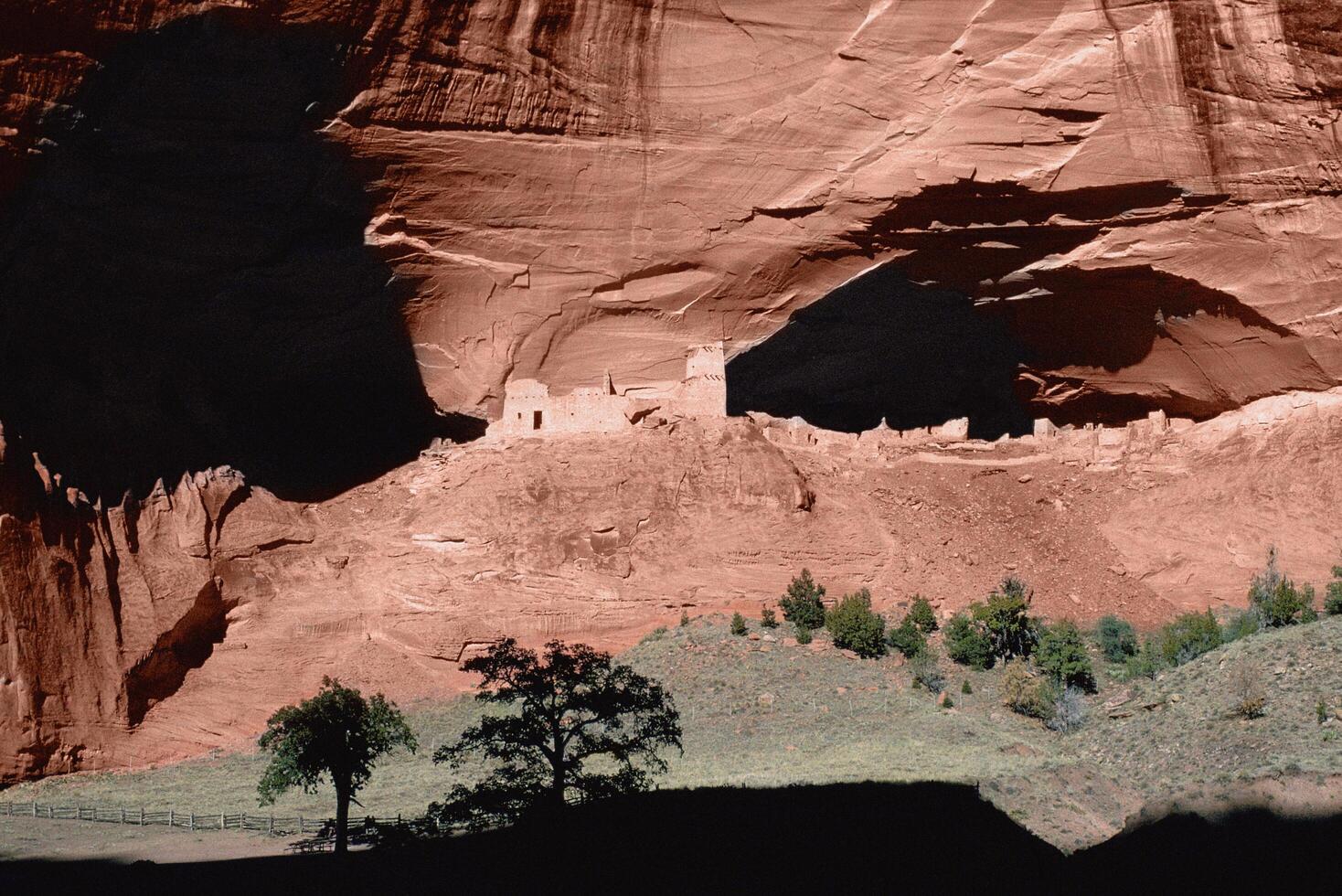 A large rock formation with a tree in front of it photo