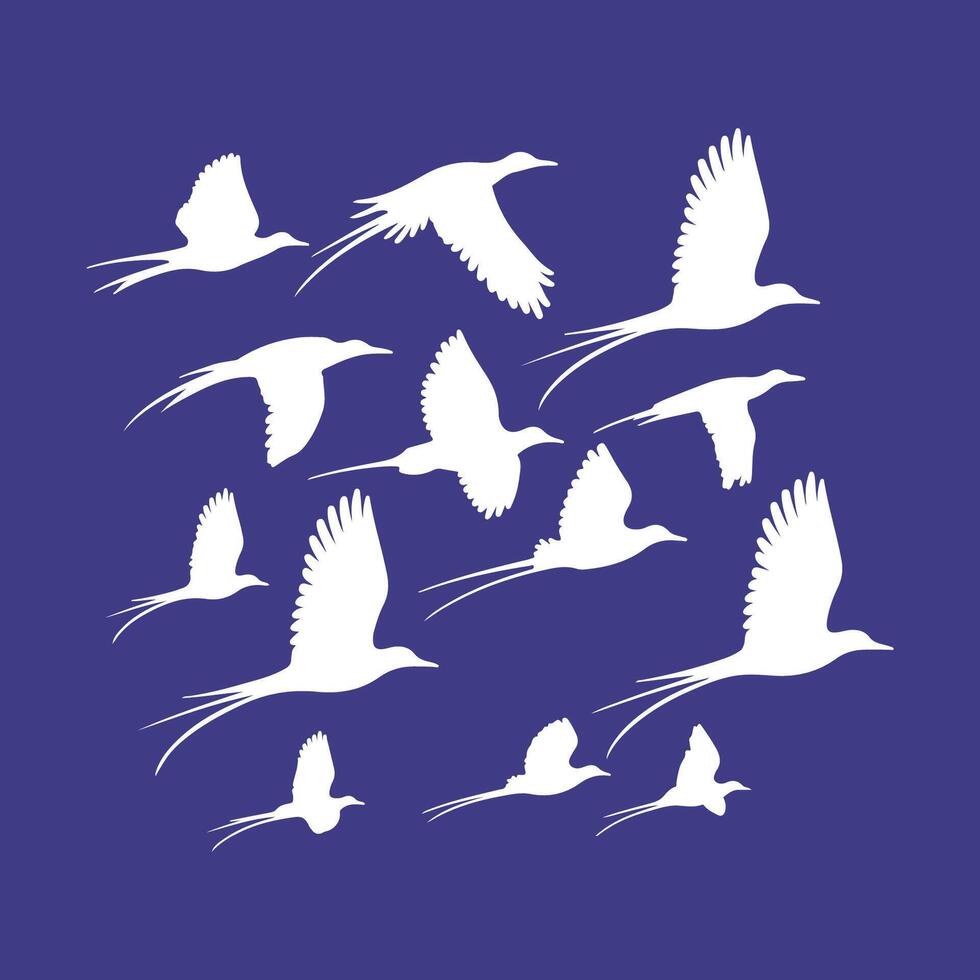 A collection of birds icon logotype from around the world vector