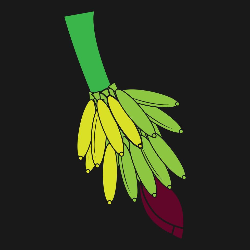 banana illustration design vector