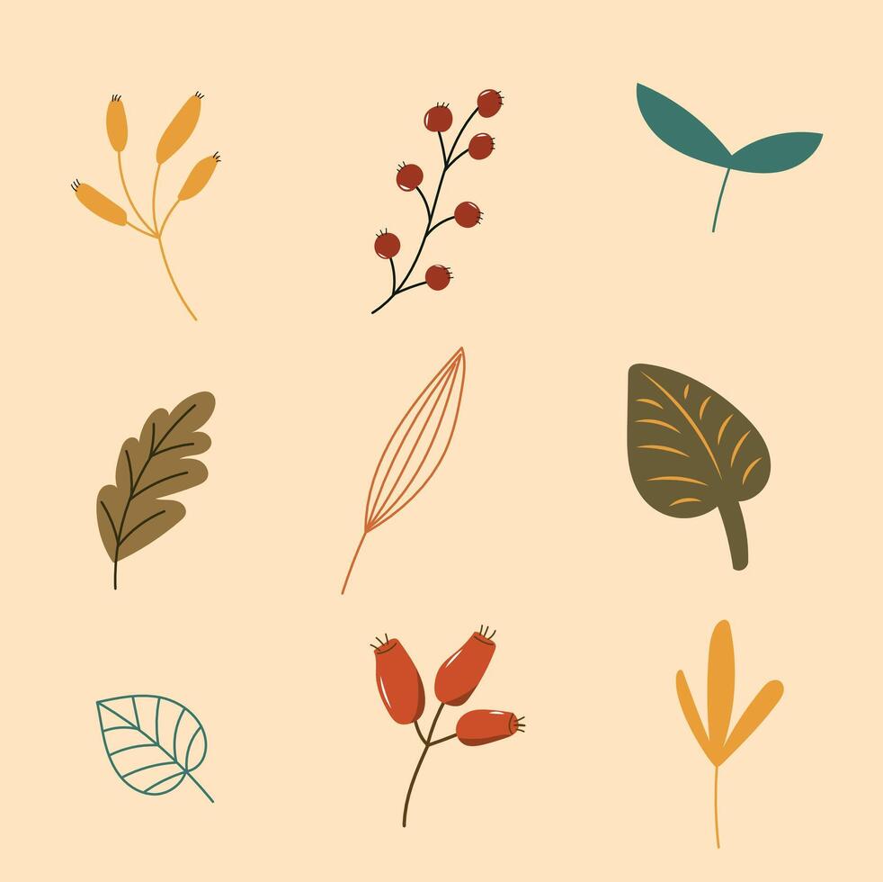 Set of vintage leafs and berries vector