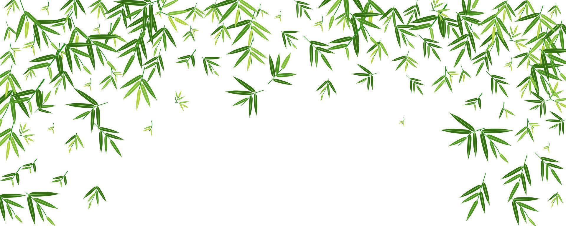 background banner with green bamboo leaf beautiful concept copy space for text vector